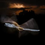 Bajo la tormenta